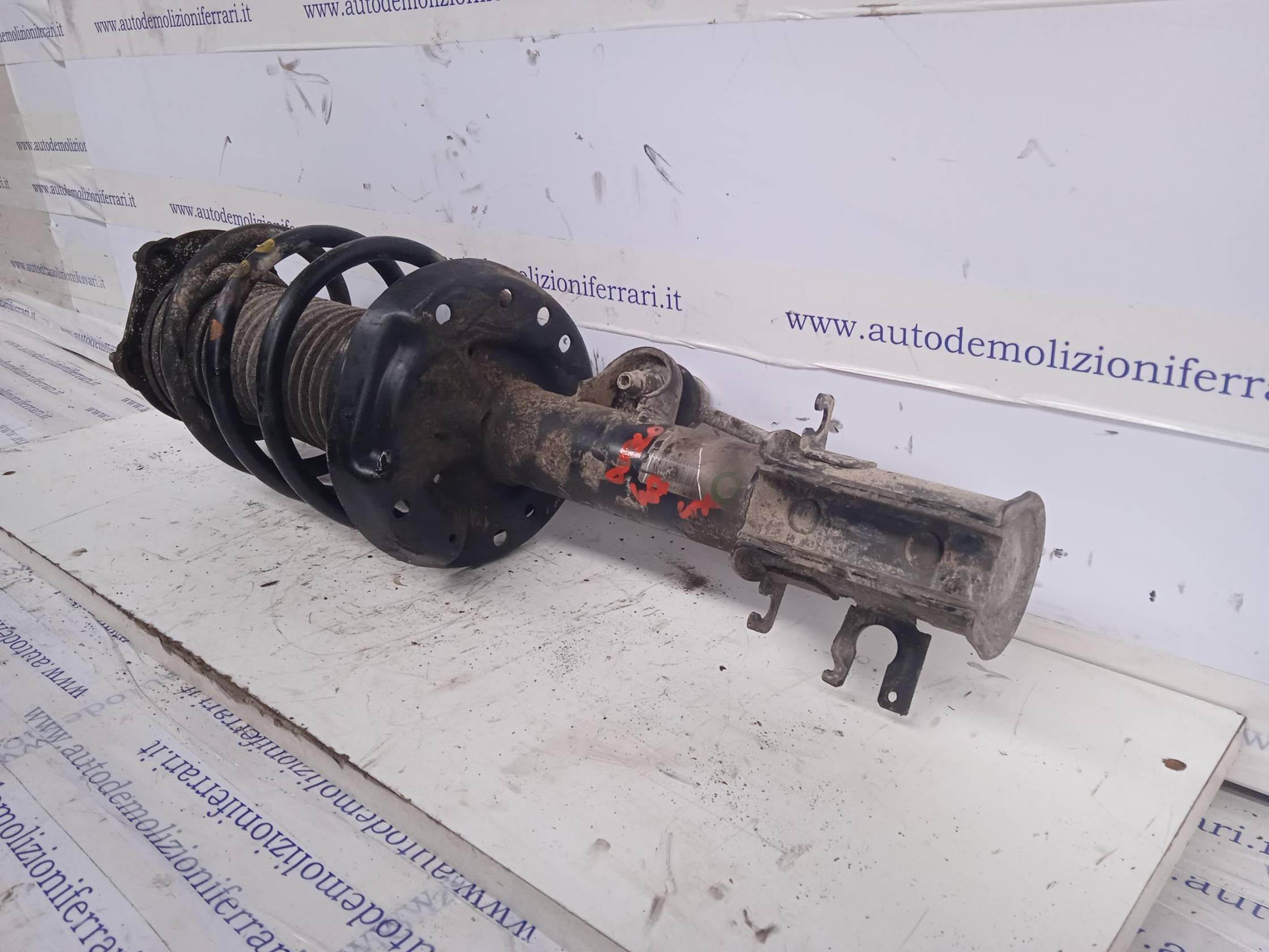 Ammortizzatore ant. sx.